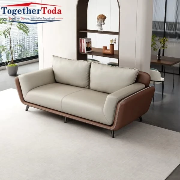 Modern Minimalist Sofa Set